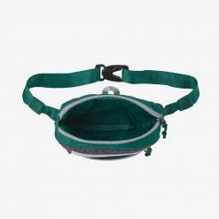 Patagonia Ultralight Black Hole® Mini Hip Pack 1L